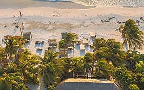 Nest Tulum
